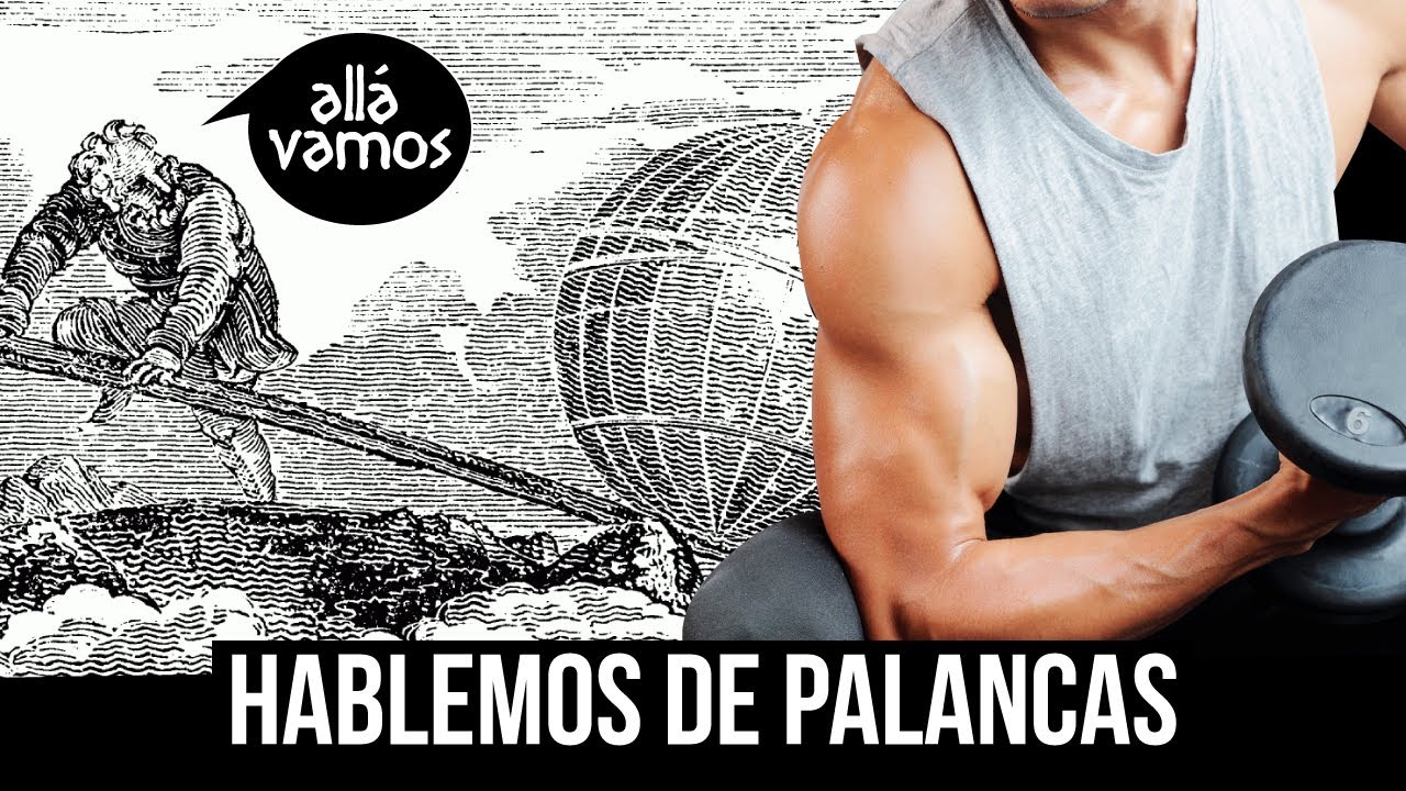 Palancas en el cuerpo humano de primer, segundo y tercer genero.