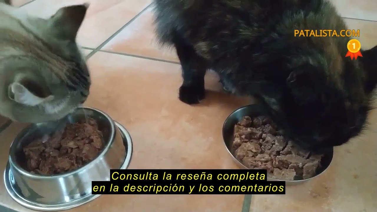 Reseña del by Amazon Alimento para gatos, paté mixto, 100 g, paquete de 32 unidades