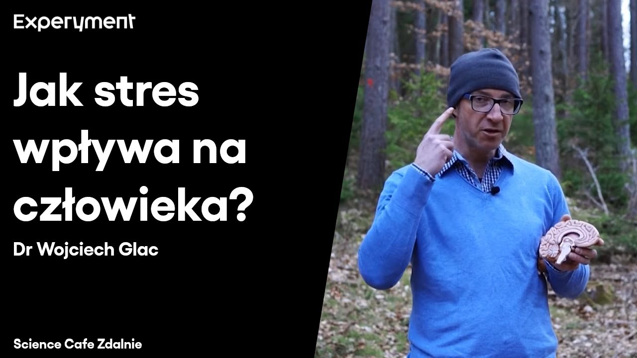 Dr Wojciech Glac. Jak stres wpływa na człowieka? | SCIENCE CAFE ZDALNIE #3