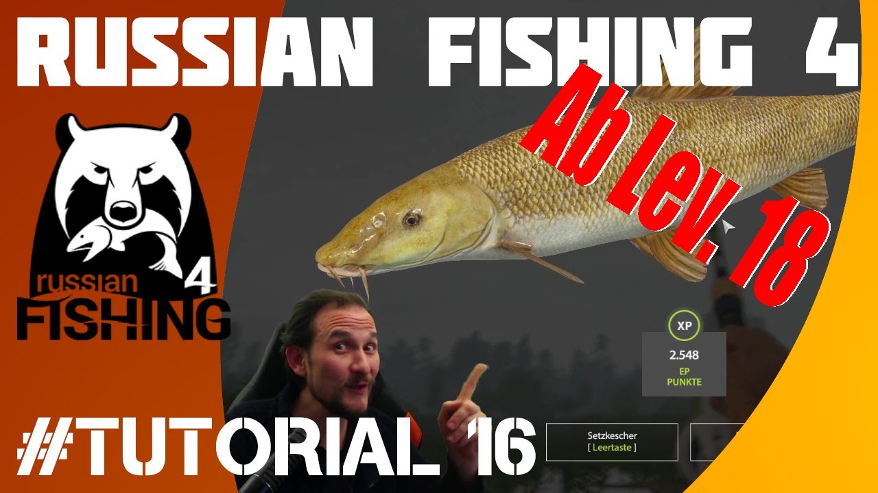 Russian Fishing 4 #Tutorial 16: Bärensee ab Lev.18 Die 5 Top Spots
