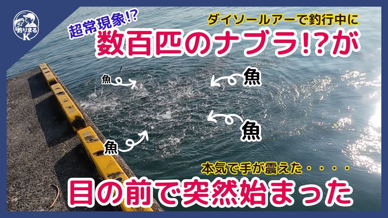 【ナブラ⁉︎衝撃⁉︎】ダイソールアーで釣行中に突然目の前で大量ナブラ!? #ダイソー釣具 　#ダイソールアー  #釣り #魚釣り