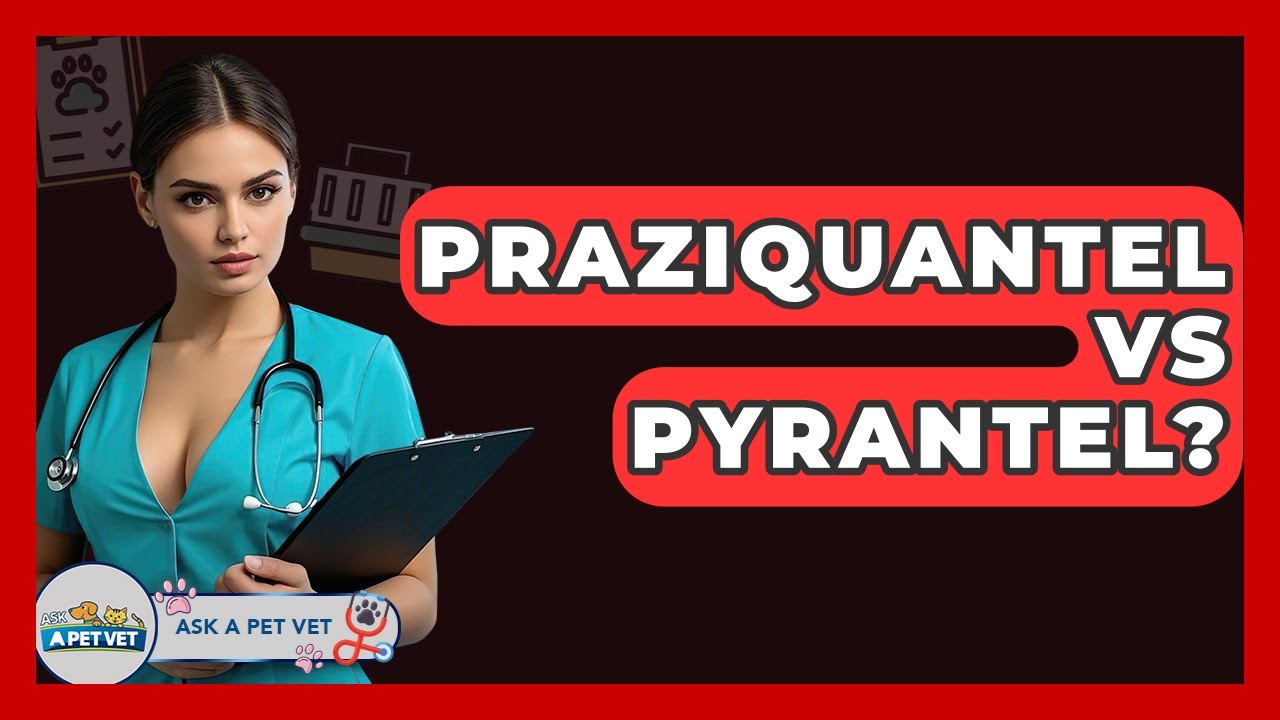 Praziquantel Vs Pyrantel? - Ask A Pet Vet