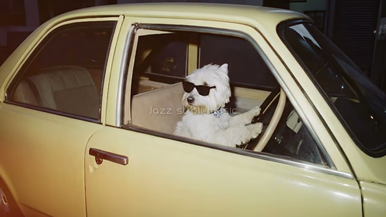 [Playlist] 빈티지 드라이브: 웨스티와 함께 떠나는 레트로 퓨전 재즈