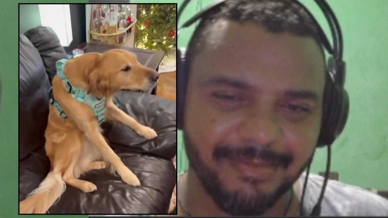 MEMES PARA ASSISTIR POSTURADO