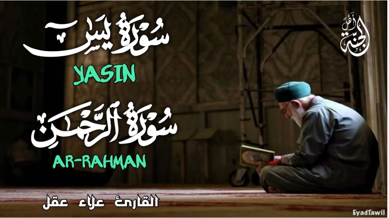 سورة يس والرحمن بصوت جميل راحة وسكينة | شفاء وبركة وحفظ من الشيطان | القارئ علاء عقل