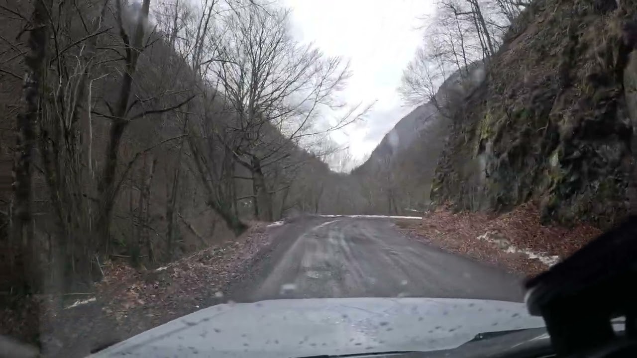 Început de drum forestier - Valea Cernei 