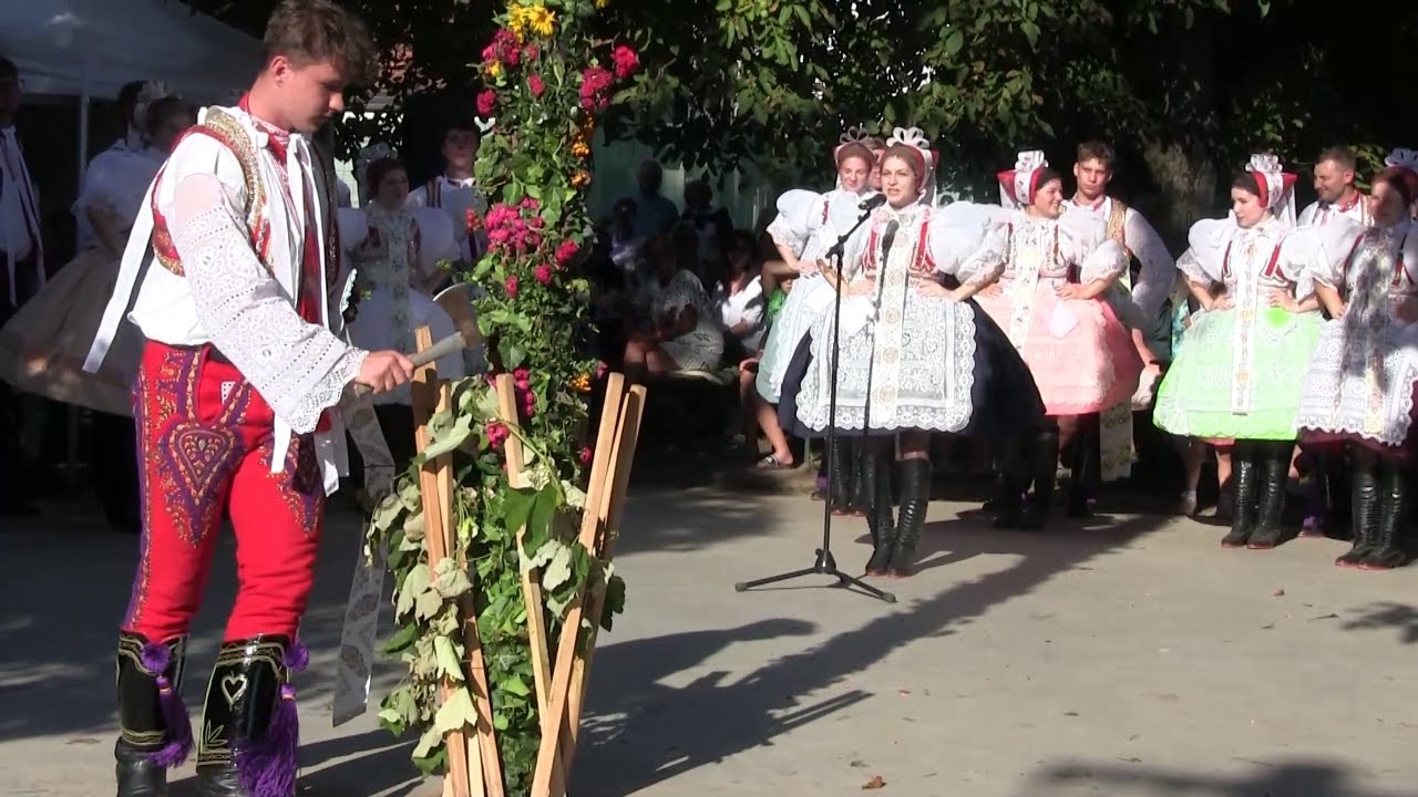 Nechory zažily vinobran&iacute; s t&eacute;měř stoletou tradic&iacute;