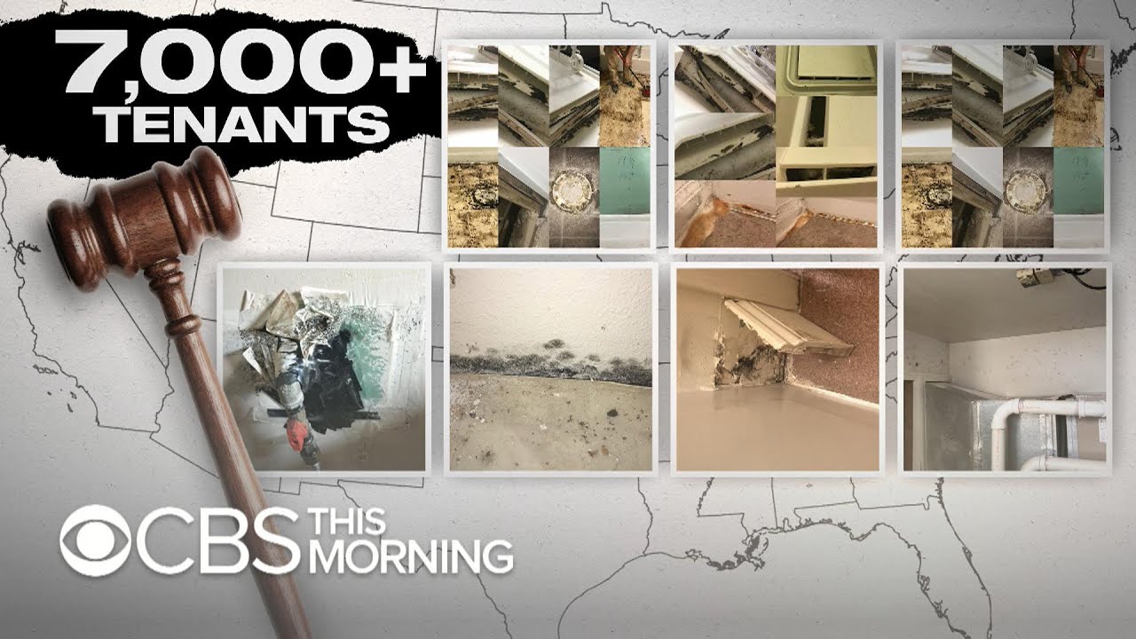 Families complain of mold, lead paint, rats in military housing ahead of hearing