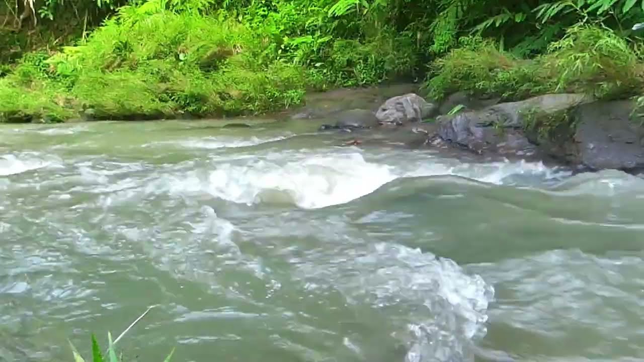 1 Hour Peaceful River Sounds – Deep Relaxation, Sleep & Study