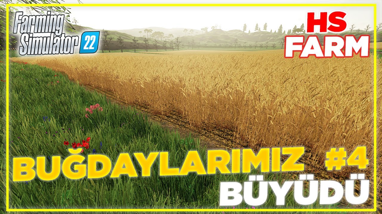 Buğday Ekimi Tamam | Haut-Beyleron | Farming Simulator 22 Timelapse | FS22 | #4