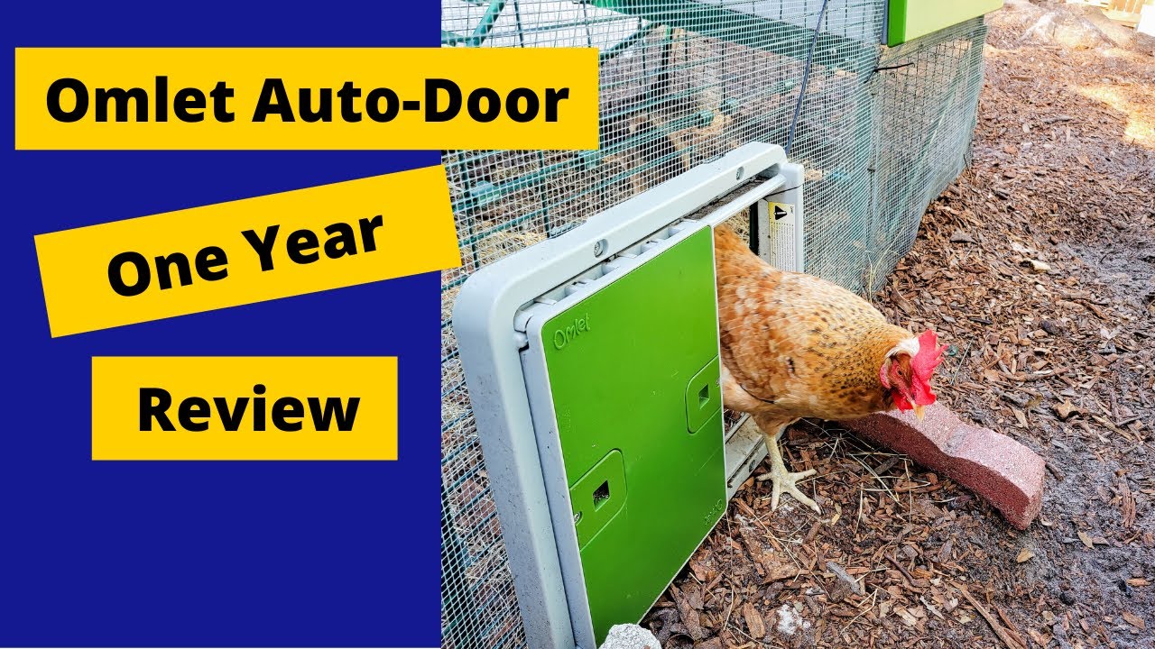 Upgrade Your Urban Homestead! Automatic Chicken Door by Omlet