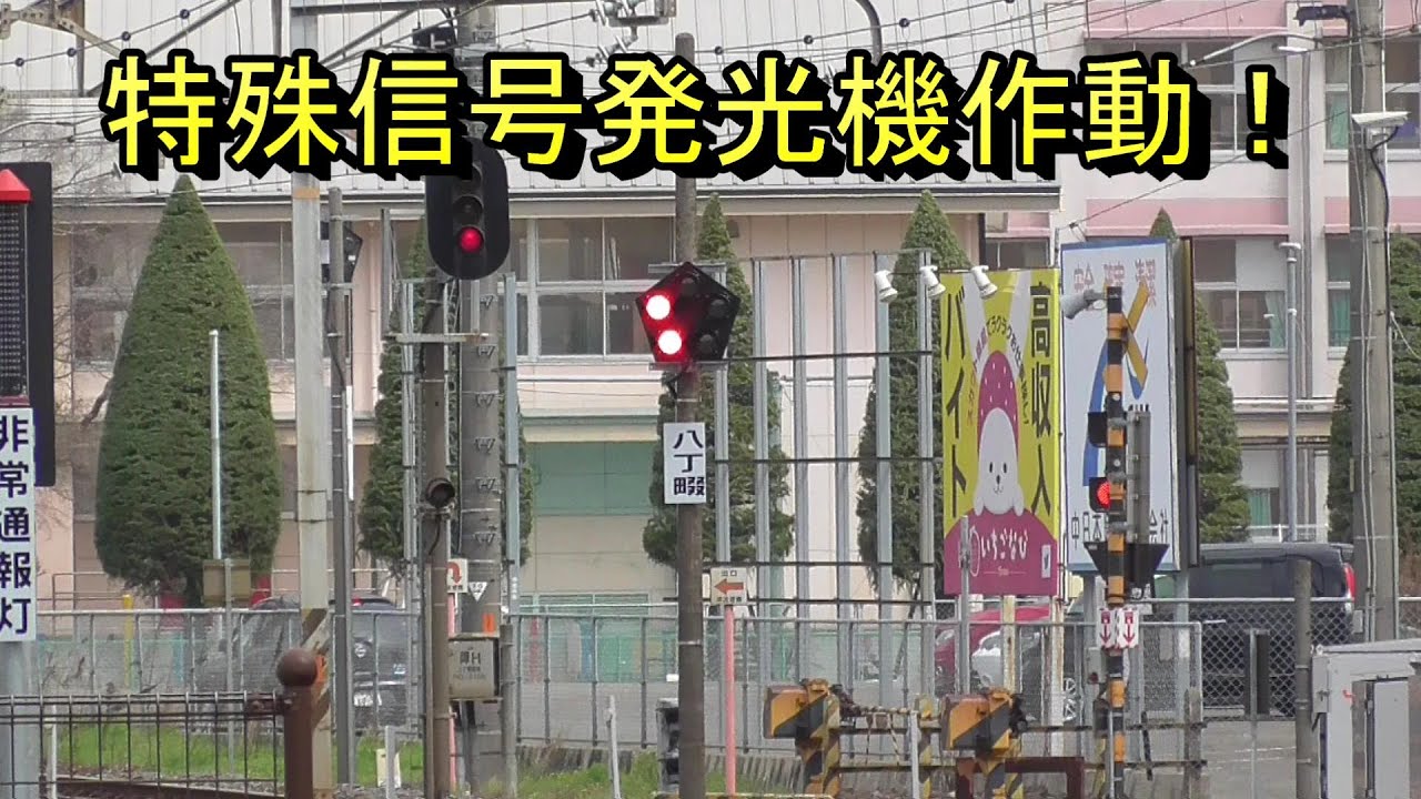 特殊信号発光機 作動!！