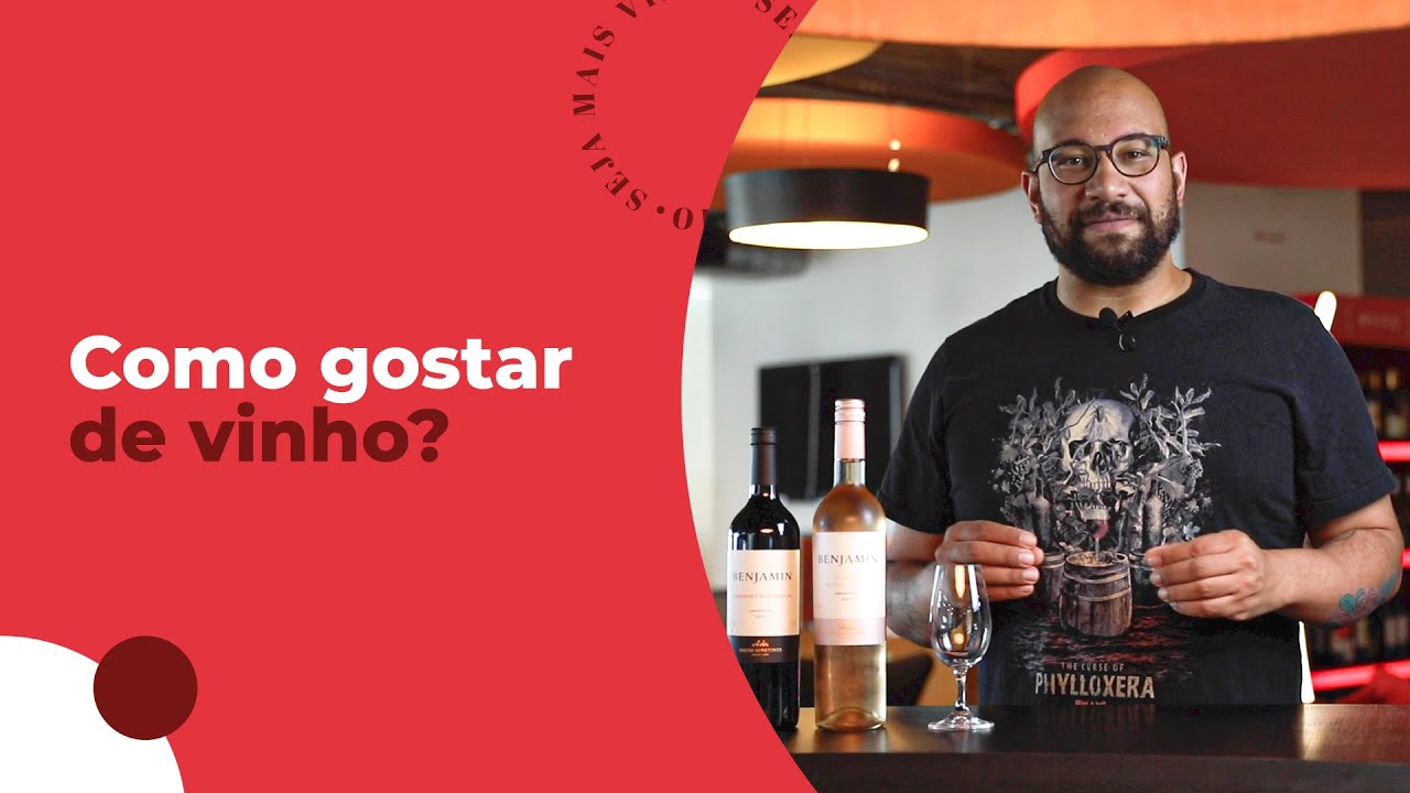 Como começar a gostar de Vinho? Dicas para iniciantes! | Evino