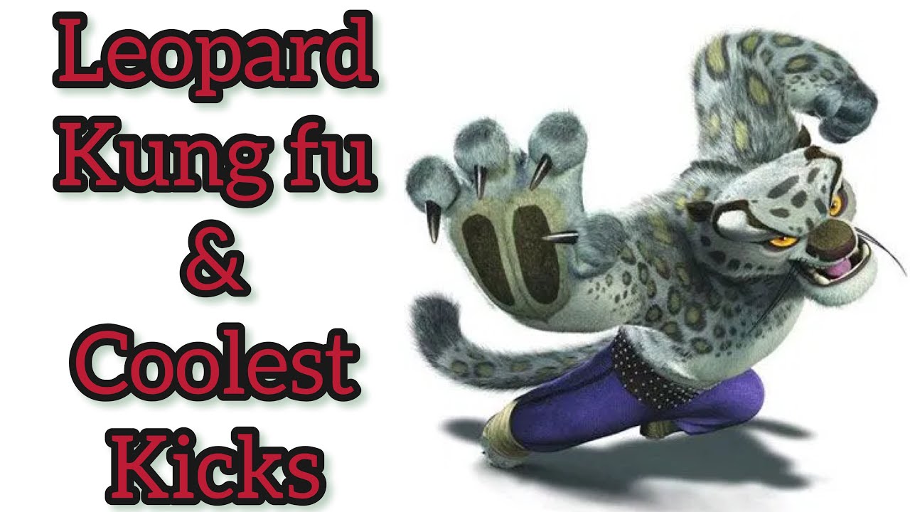 real timing kung fu class / leopard kung fu lesson 2 / coolest leopard kicks