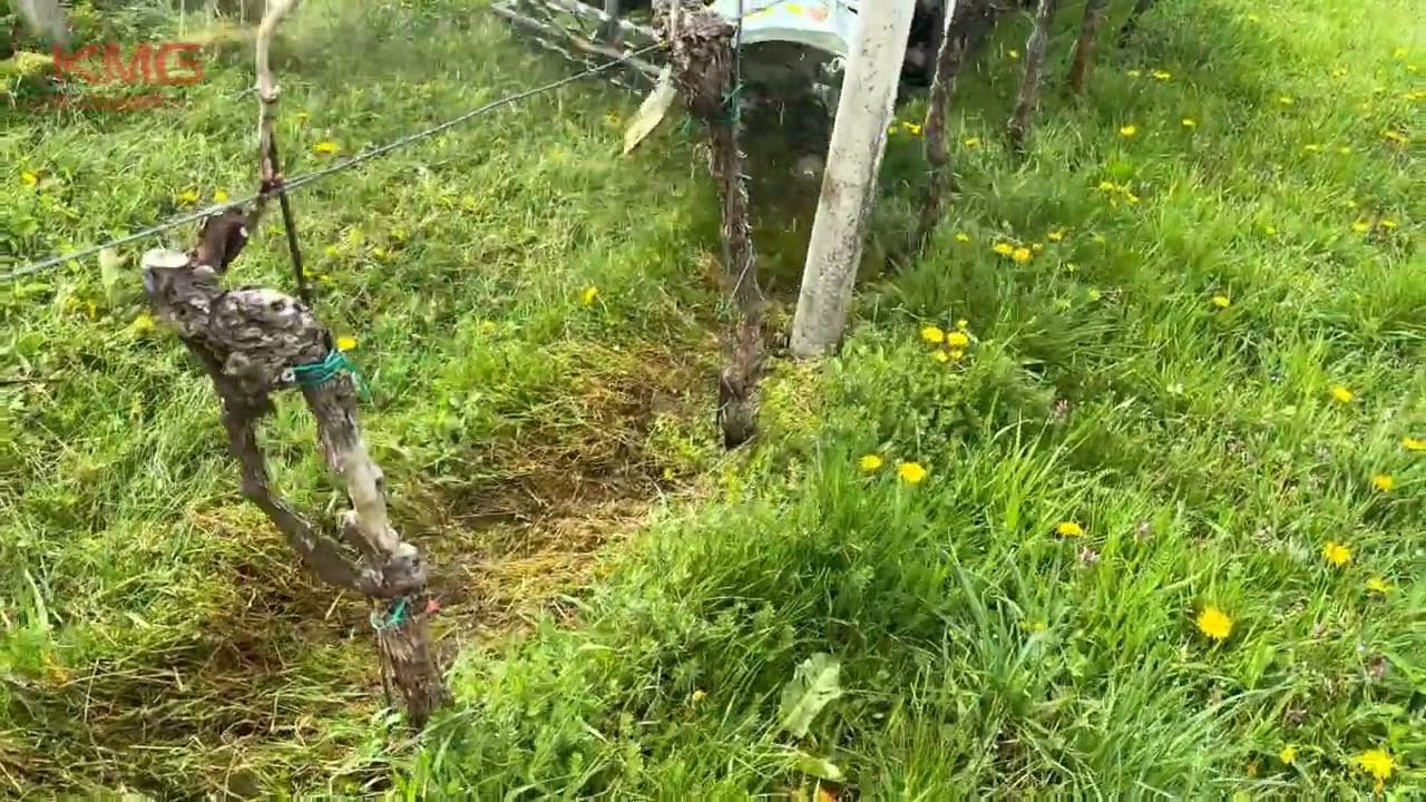 Dvostranski pletvenik PL600 DS KMG Podlehnik