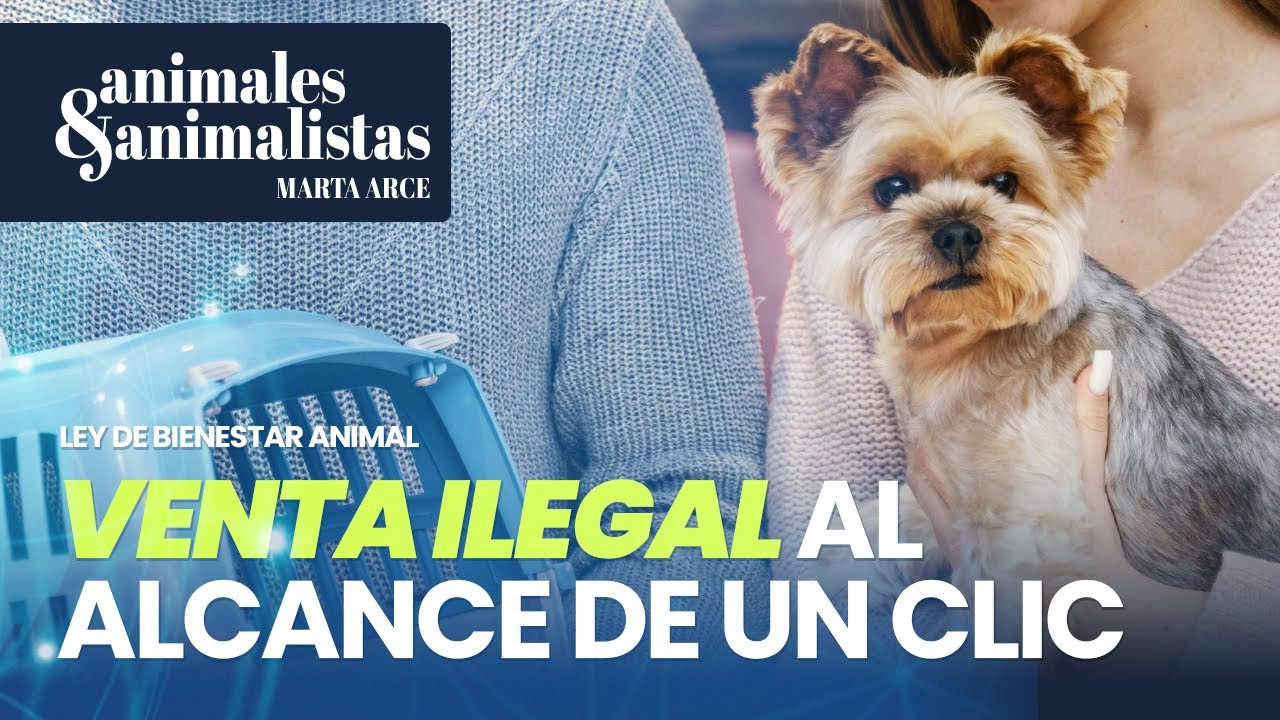 Venta ilegal de mascotas al alcance de un clic