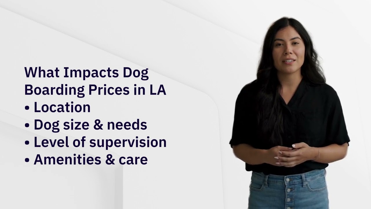 Dog Boarding Costs in Los Angeles:  What You&rsquo;re Really Paying For