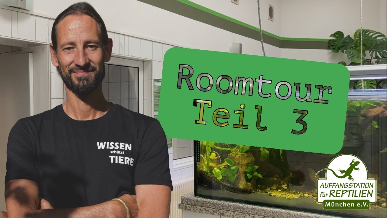 Raumtour Teil 3 | Reptilien, Terrarien & ihre spannenden Geschichten