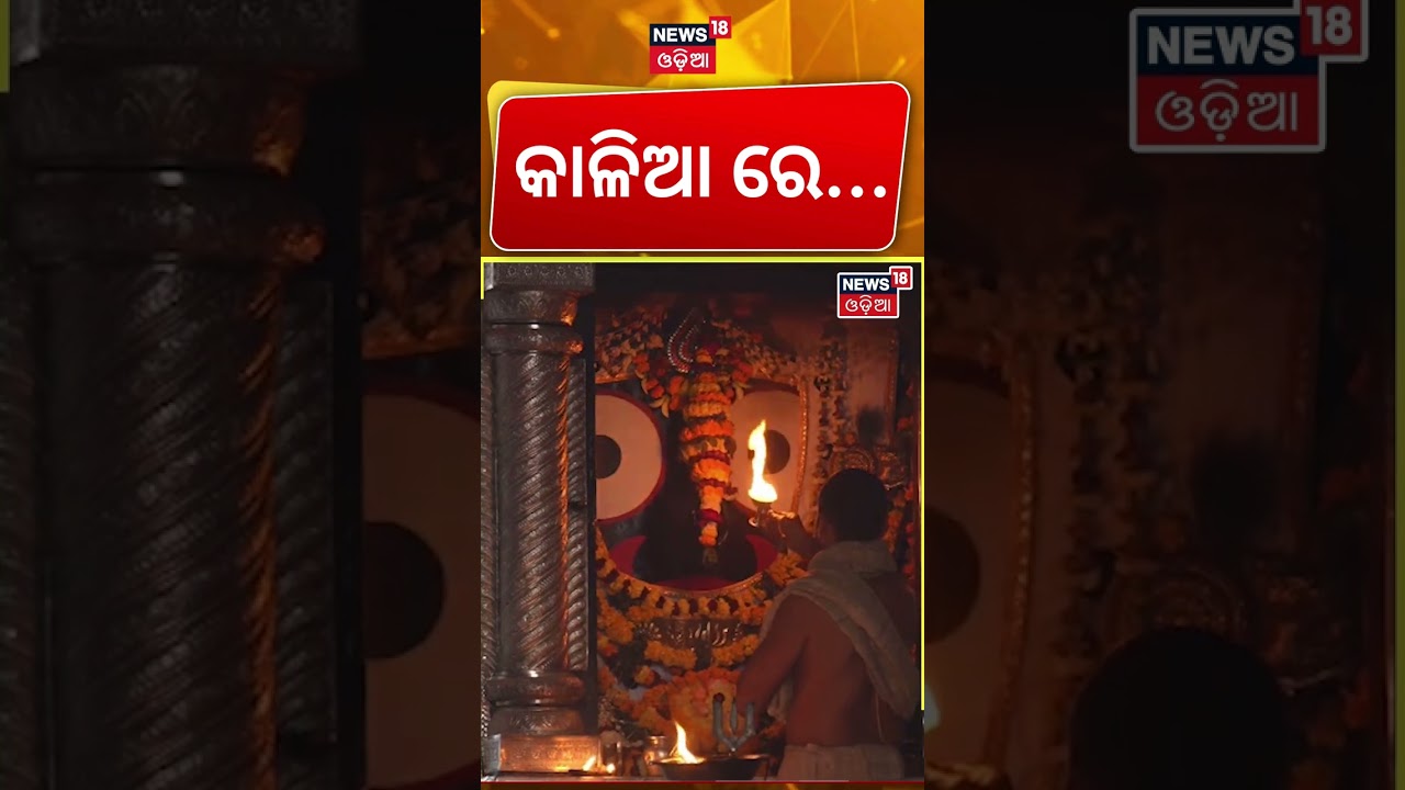 ମହାପ୍ରଭୁଙ୍କ ମଙ୍ଗଳ ଆଳତୀ | Puri News Today | Jagannath Temple | Jay Jagannath | Jagannath Dham
