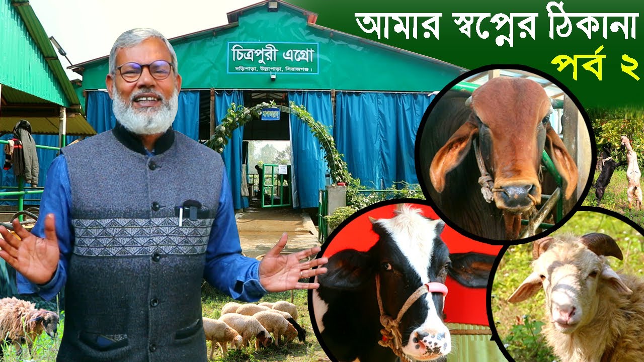 1259- আমার স্বপ্নের ঠিকানা, চিত্রপুরী এগ্রো, গরুর খামার-র,ই মানিক  R.I Manik.Chitrapuri Krishichitra