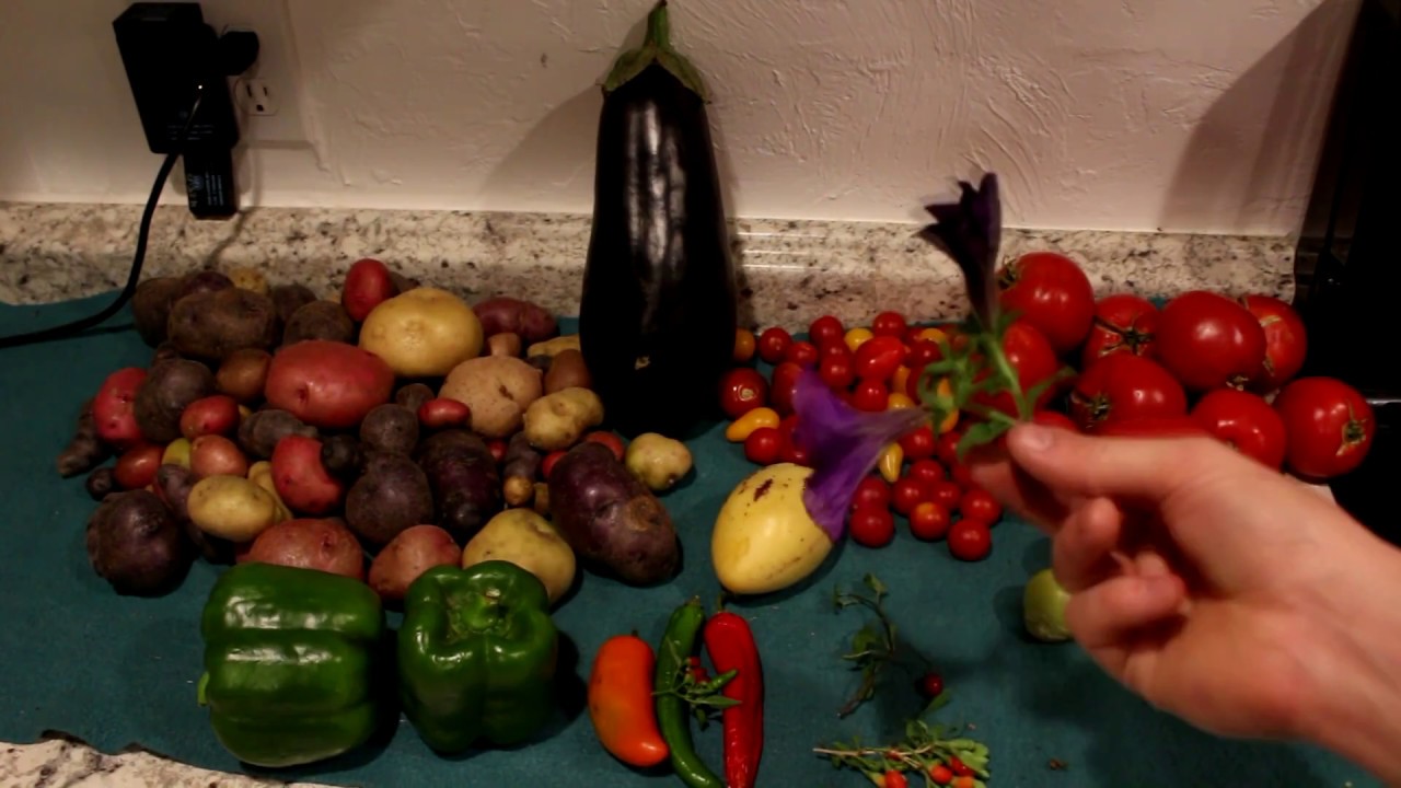 Cooking With Cody: Nightshade Stew