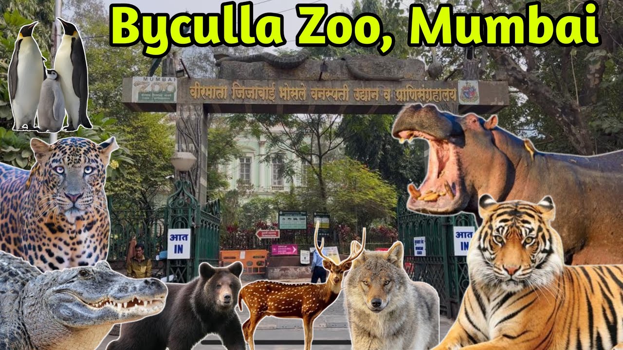 Byculla Zoo Mumbai 🦁 Complete Tour | Tickets, Timings & Animals