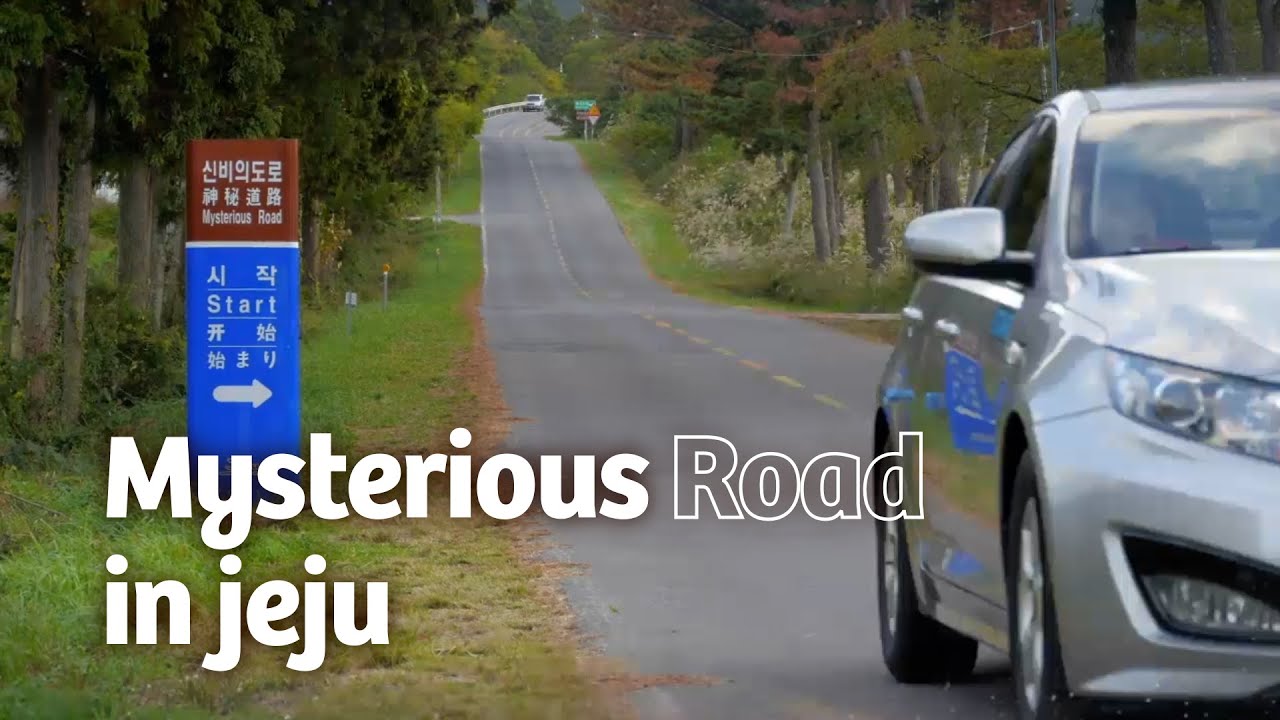 Mysterious Road in jeju