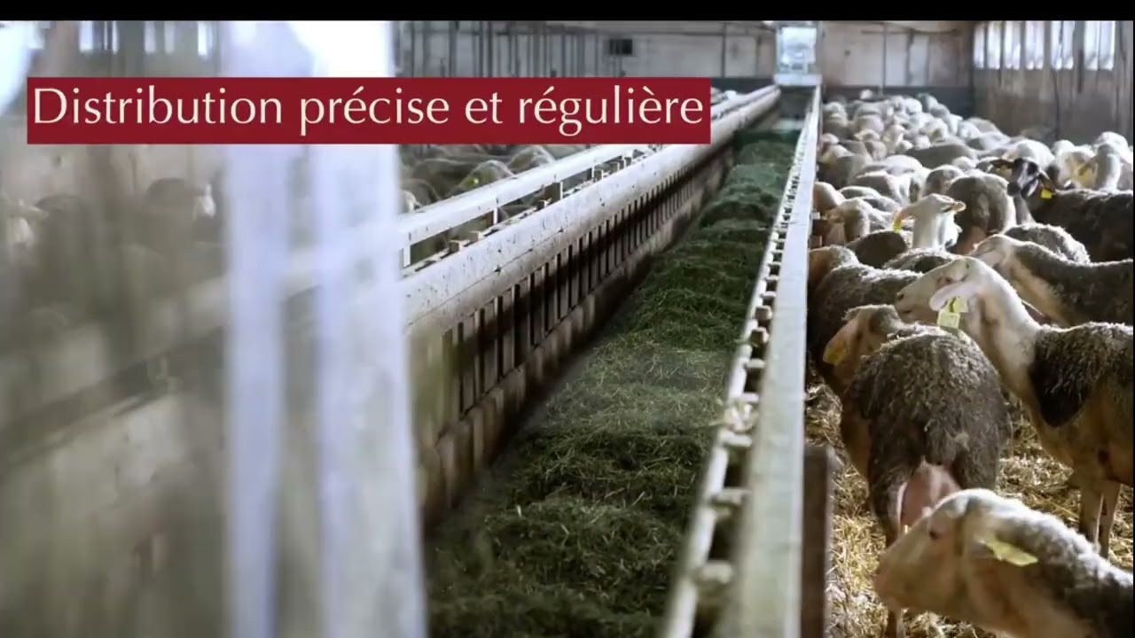 MX System T2a Equipement Alimentation automatis&eacute;e avec gestion des tapis en bergerie