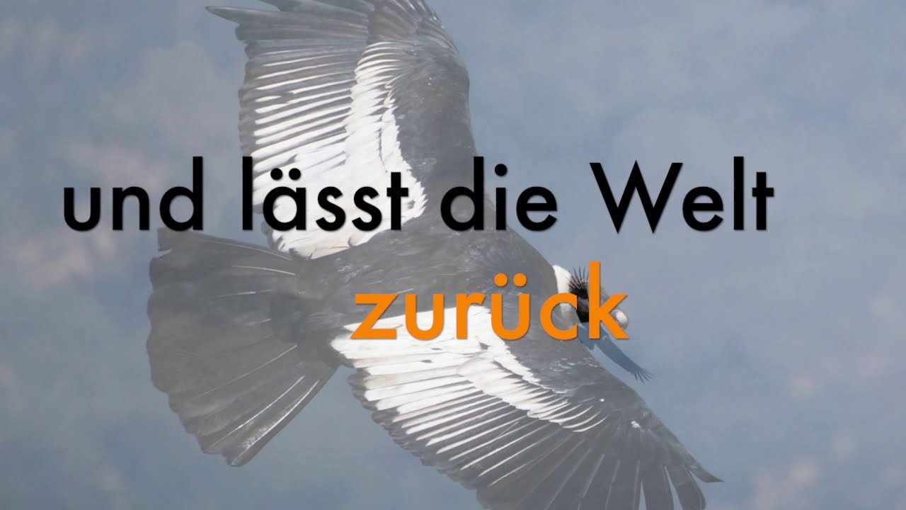 El Condor Pasa - Semino Rossi ( German Version ) - ( Cover by Michel Wolsink ) with Lyrics
