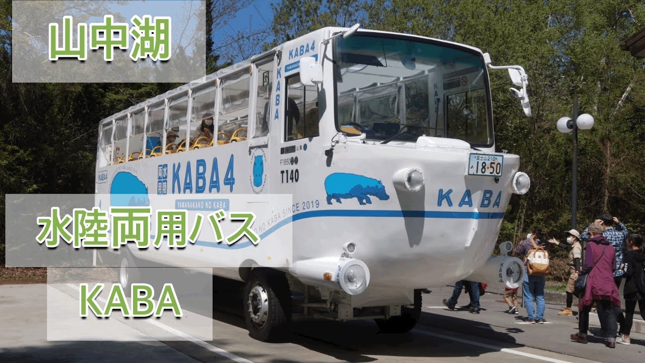 【山中湖】水陸両用バス　KABA #水陸両用バス