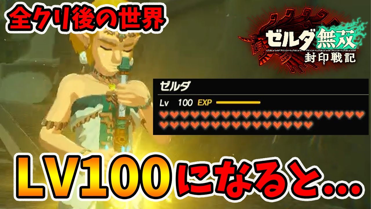 全クリ・レベル100達成！そして隠しキャラは...。【ゼルダ無双　封印戦記】【naotin】