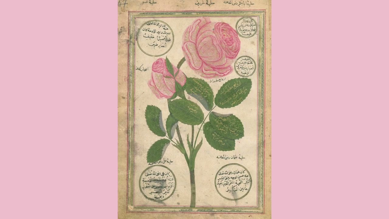 Bi'BALAD-4.Bölüm (Şiirin Ufku: Naat)