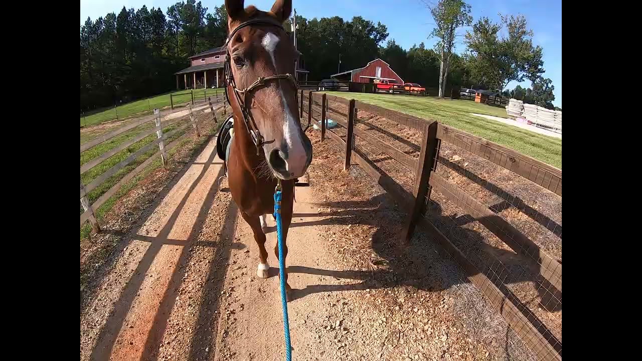 Aaron 2025 09 08 Mounting Drama