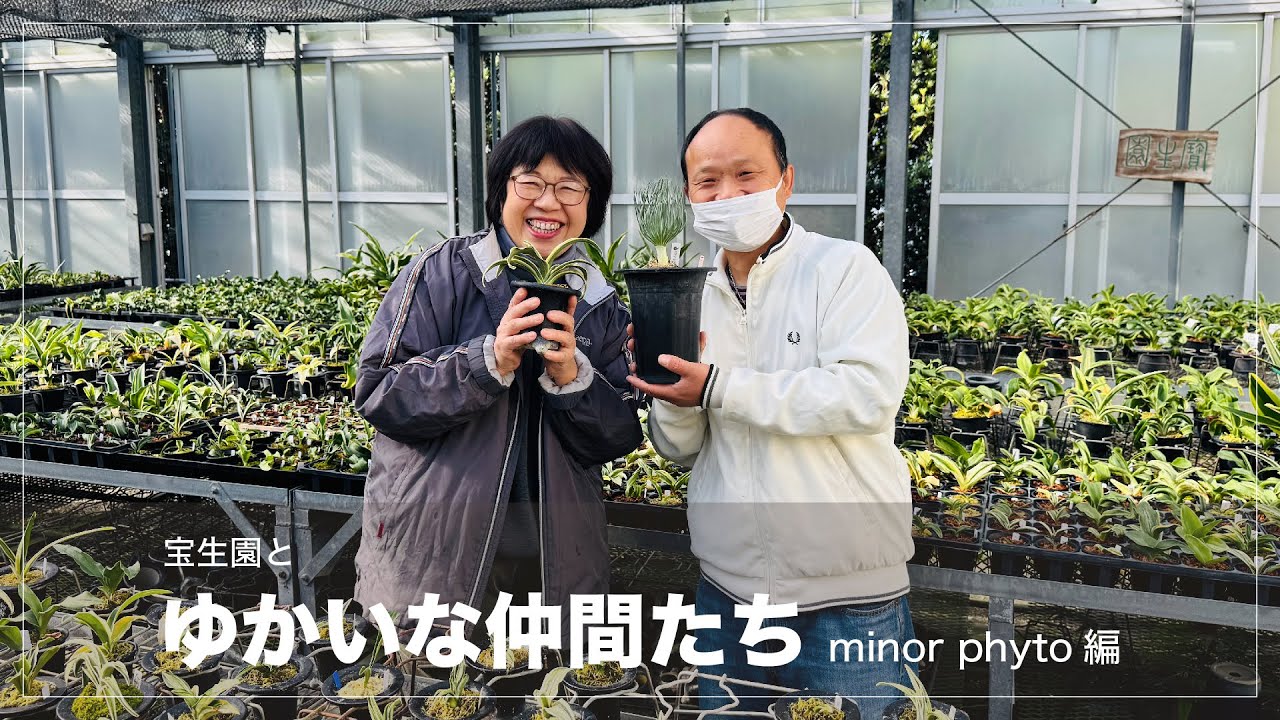 宝生園とマイナーファイト、お互いの植物について話しました