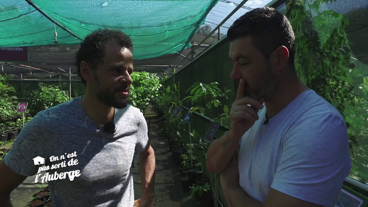 On n'est pas sorti de l'auberge n°24 : Les fruits lontan