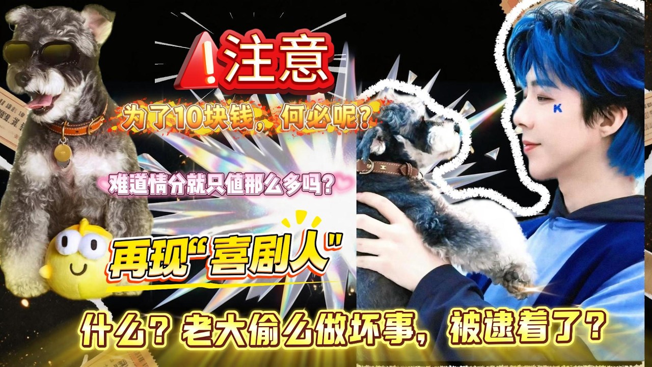 什么！老大做坏事被逮着了？为了10块钱？何必呢？刘宇宁再现“内娱喜剧人”？“活人感”太足了吧！#刘宇宁