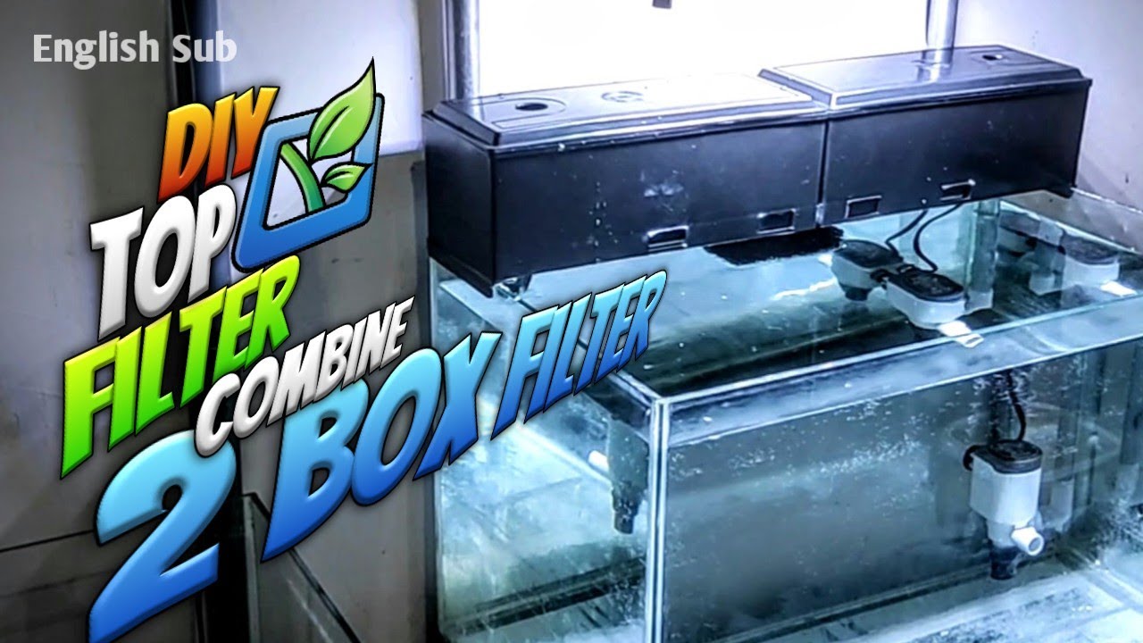 Membuat Top Filter Aquarium dari 2 Box Filter Plastik