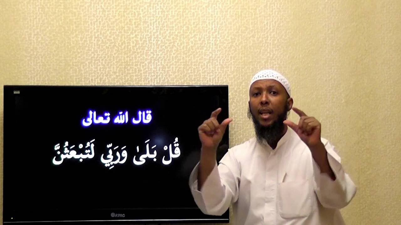 الموضوع : عقيدة كل مسلم 32