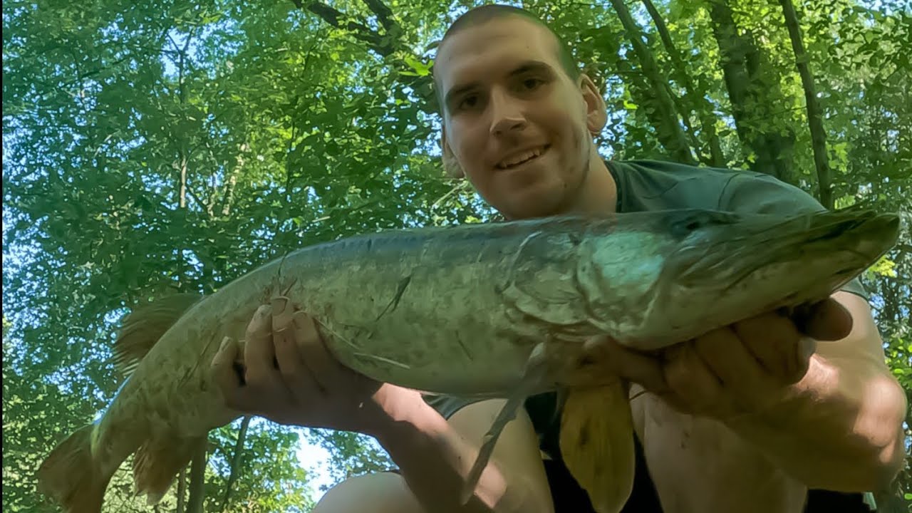 This SMALL CREEK Is LOADED With BIG FISH! - Wisconsin Fishing