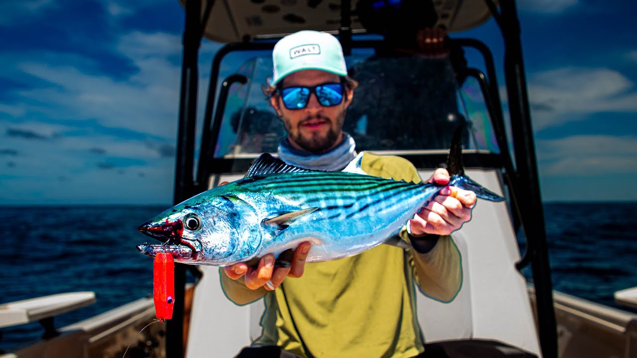 Garden Route Bonito Frenzy: Topwater Poppers and Spoons