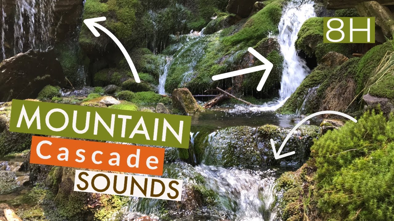 Mountain forest Cascade sounds in Giant Mountains I ASMR real surround water sounds