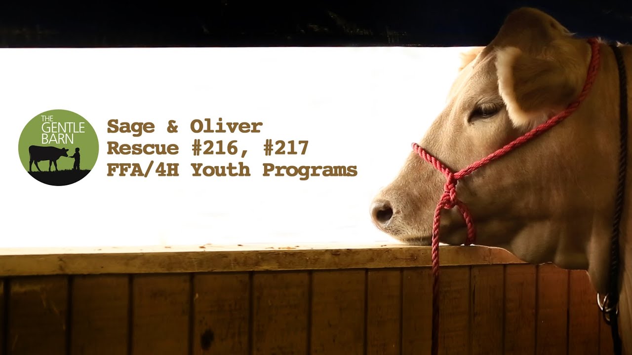 Sage & Oliver