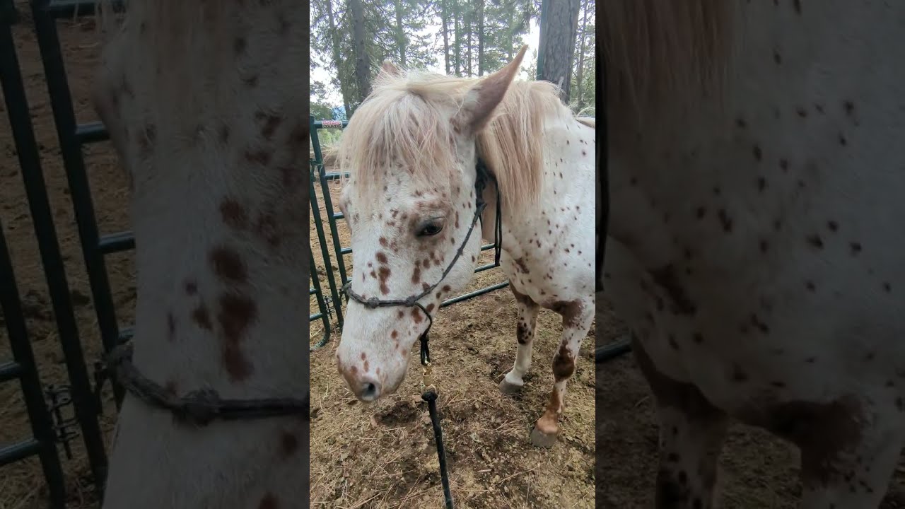 Let's talk about #safety👍 