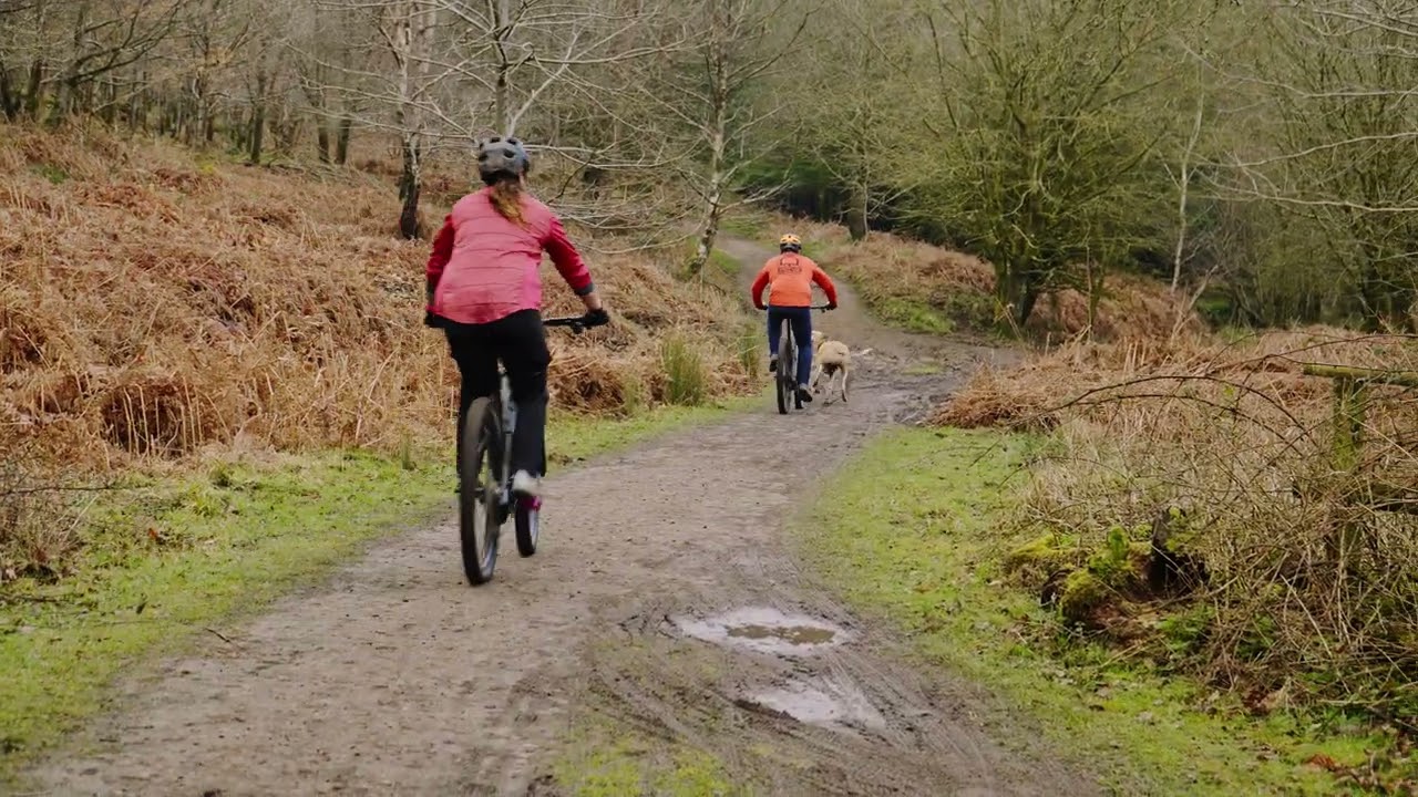 Forest of Dean Enduro MTB trails - Official Pedalabikeaway Trailer of the enduro Mountain bike trail