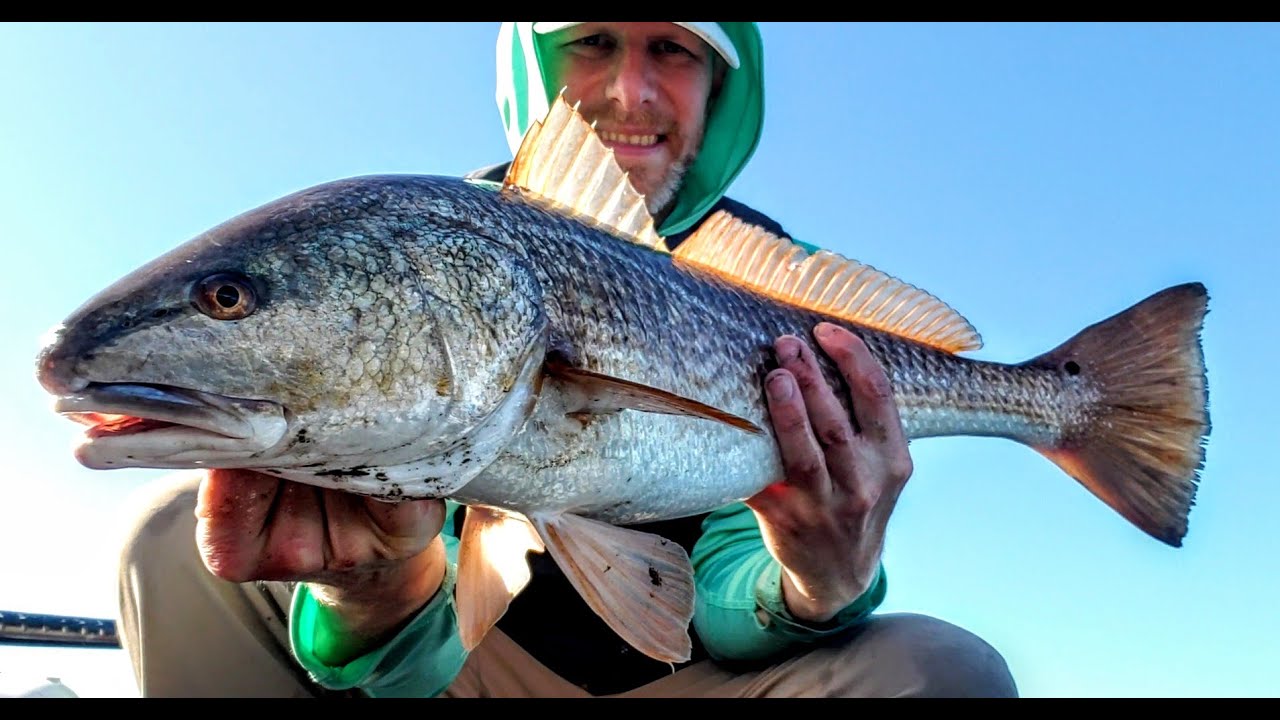 DOA Baitbuster is a great lure