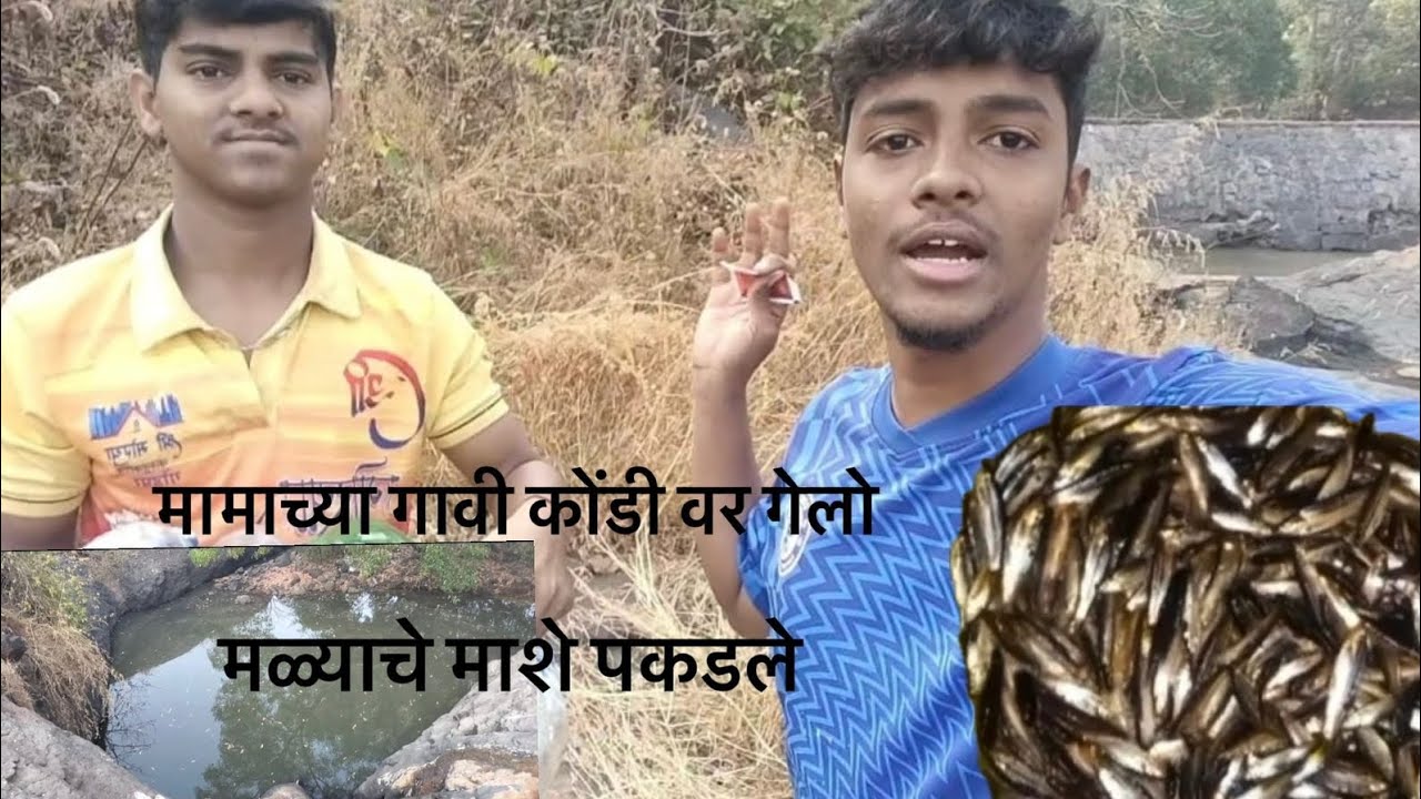 गावचे मळ्याचे मासे 🐟
