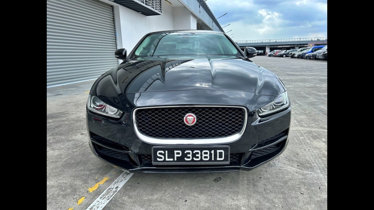 SLP3381D XE