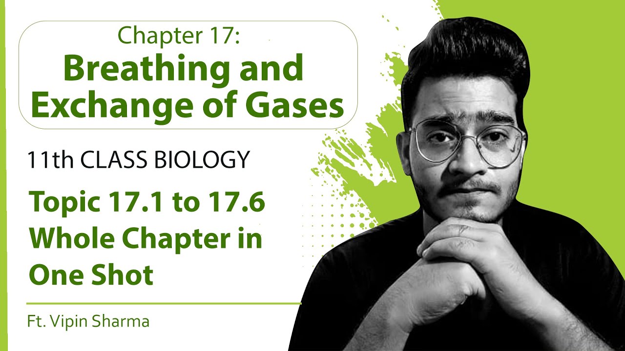 Topic 17.1 to 17.6: Breathing and Exchange of Gases in One Shot for NEET 2022 |11th-Human Physiology