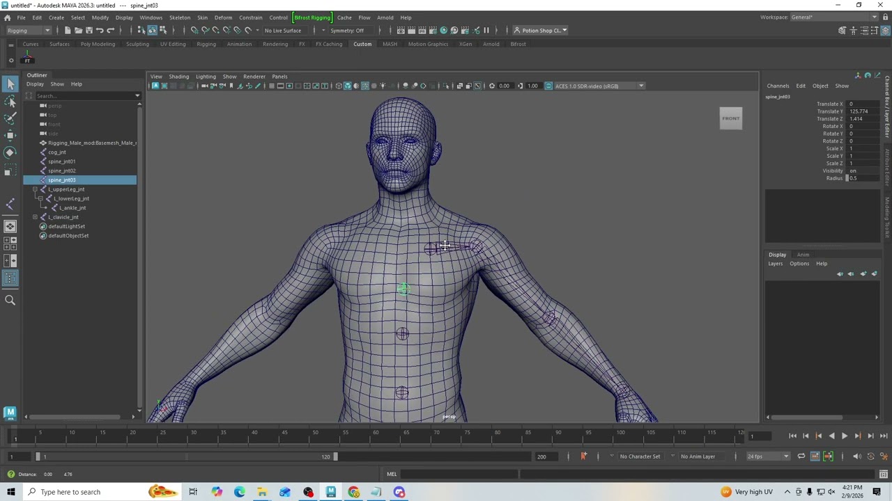 humanoid joint placement