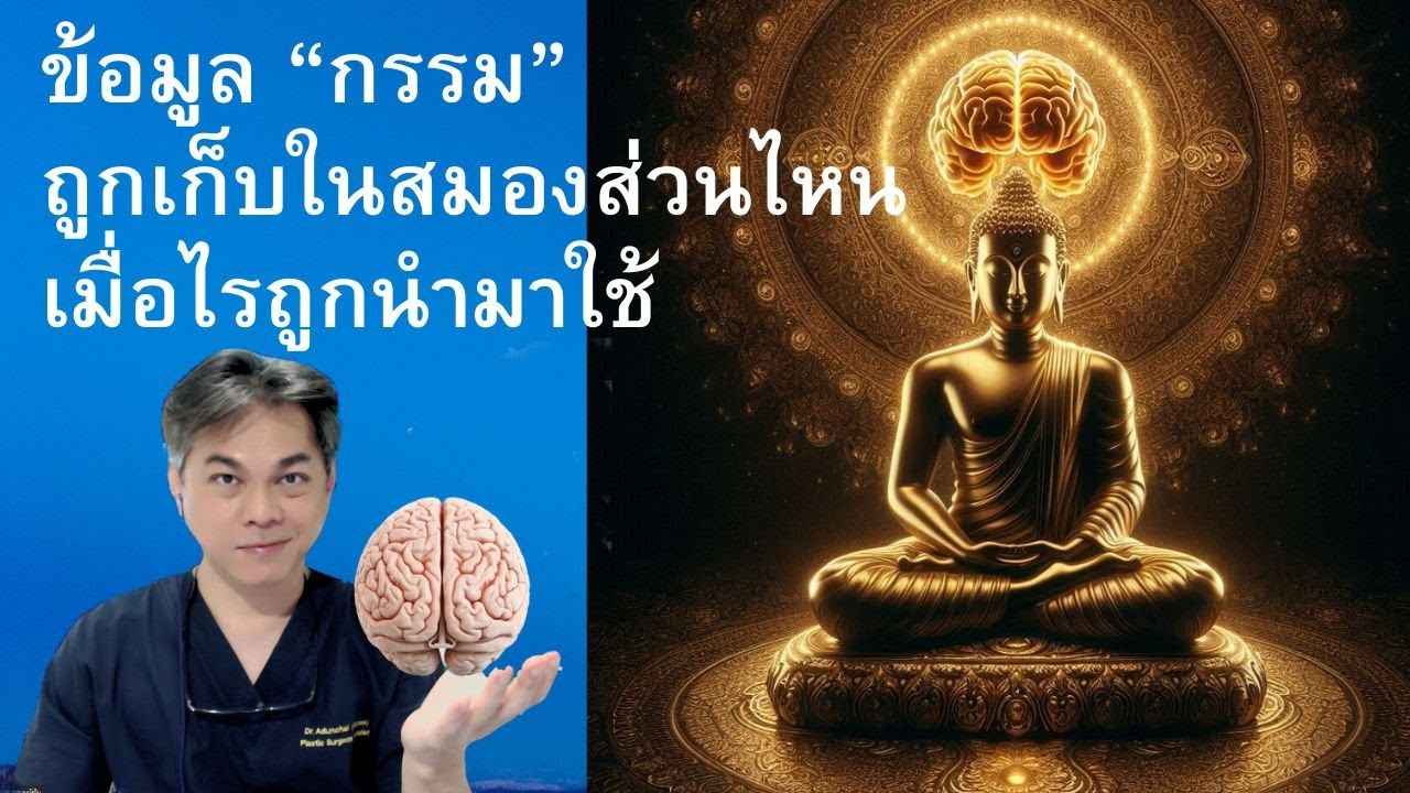 เล่าเรื่องกรรม Part 2 :ข้อมูลกรรม เก็บไว้ในสมองที่ไหน ? กรรม กับการแก้ปัญหาด้วยขันธ์ 5 โดยอัตโนมัติ
